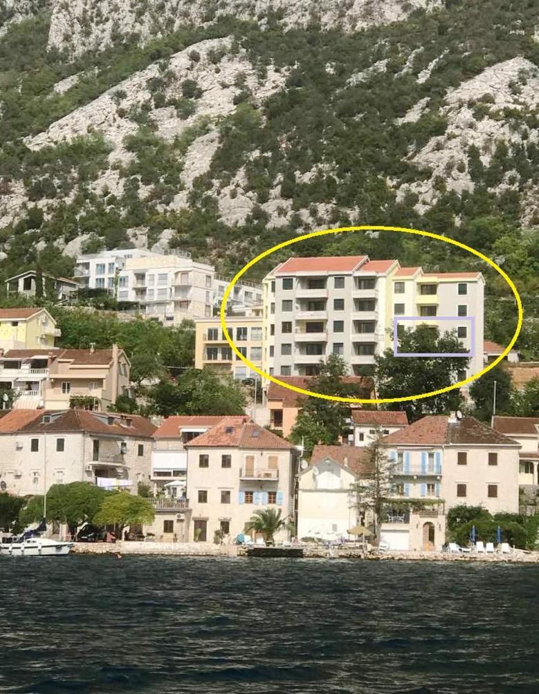 Absolute * Kotor